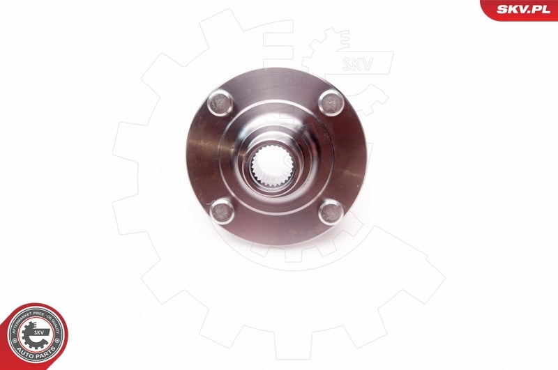ESEN SKV 29SKV162 Wheel Bearing Kit