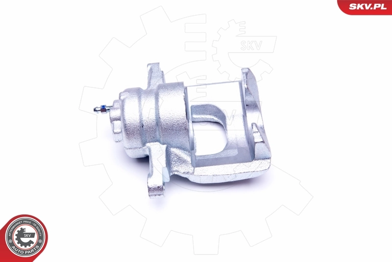 Brake Caliper 44SKV002