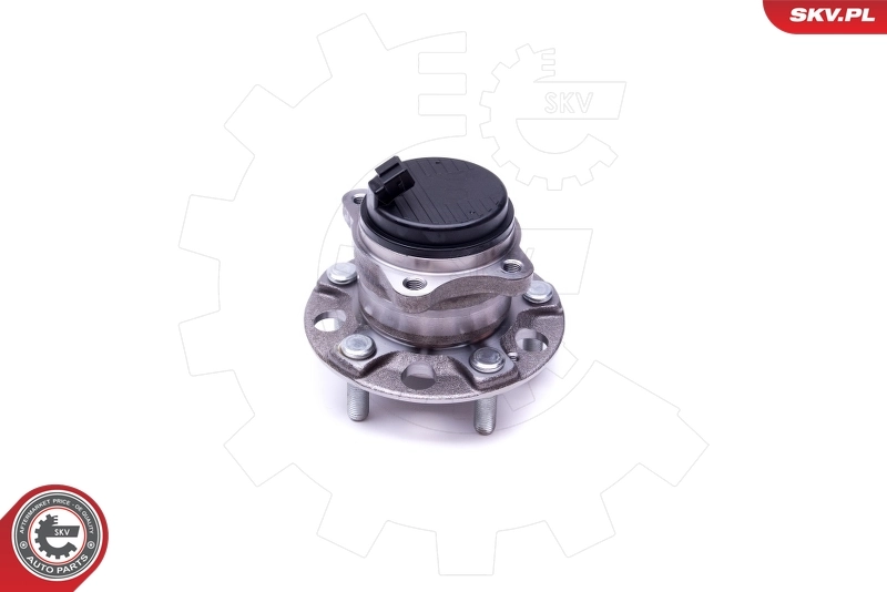 Wheel Bearing Kit 29SKV293