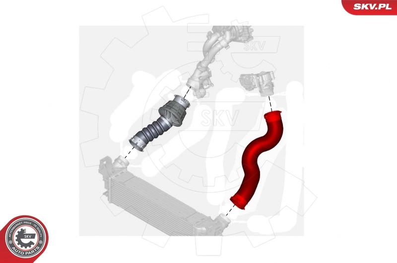 Charge Air Hose 24SKV574