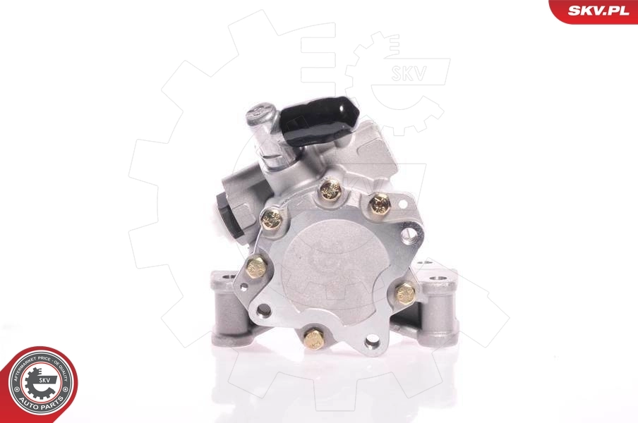 Hydraulic Pump, steering 10SKV148