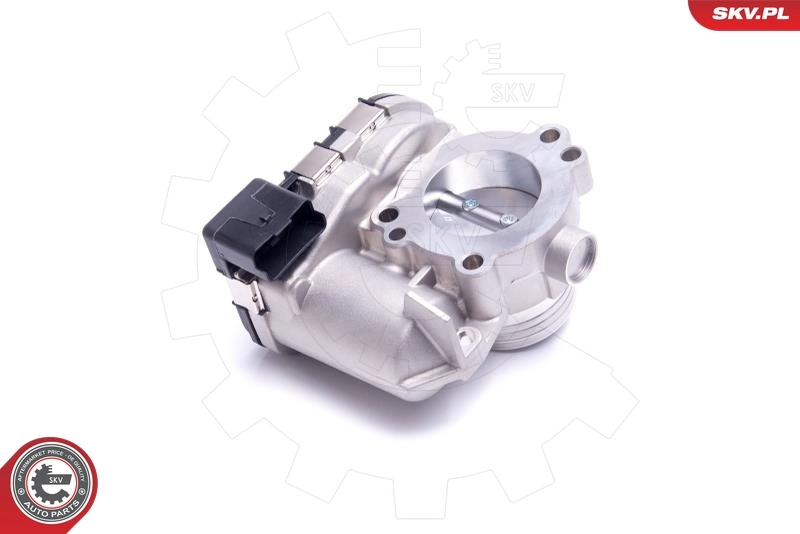 Throttle Body 12SKV119