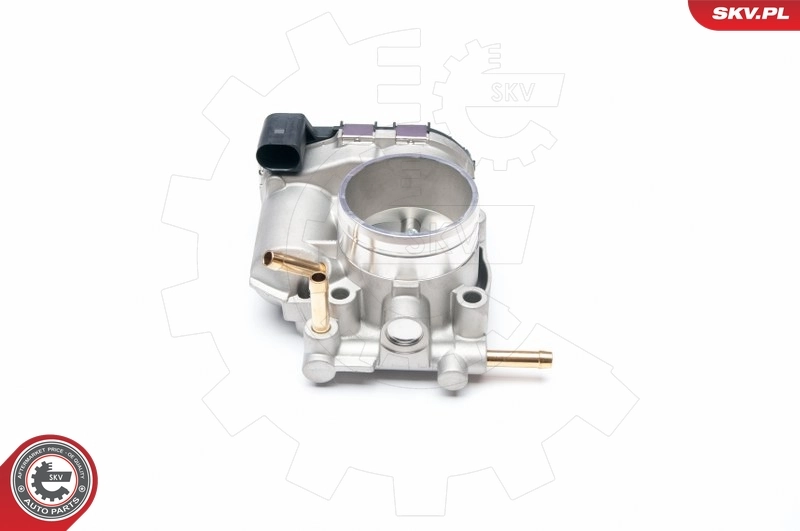 Throttle Body 12SKV045