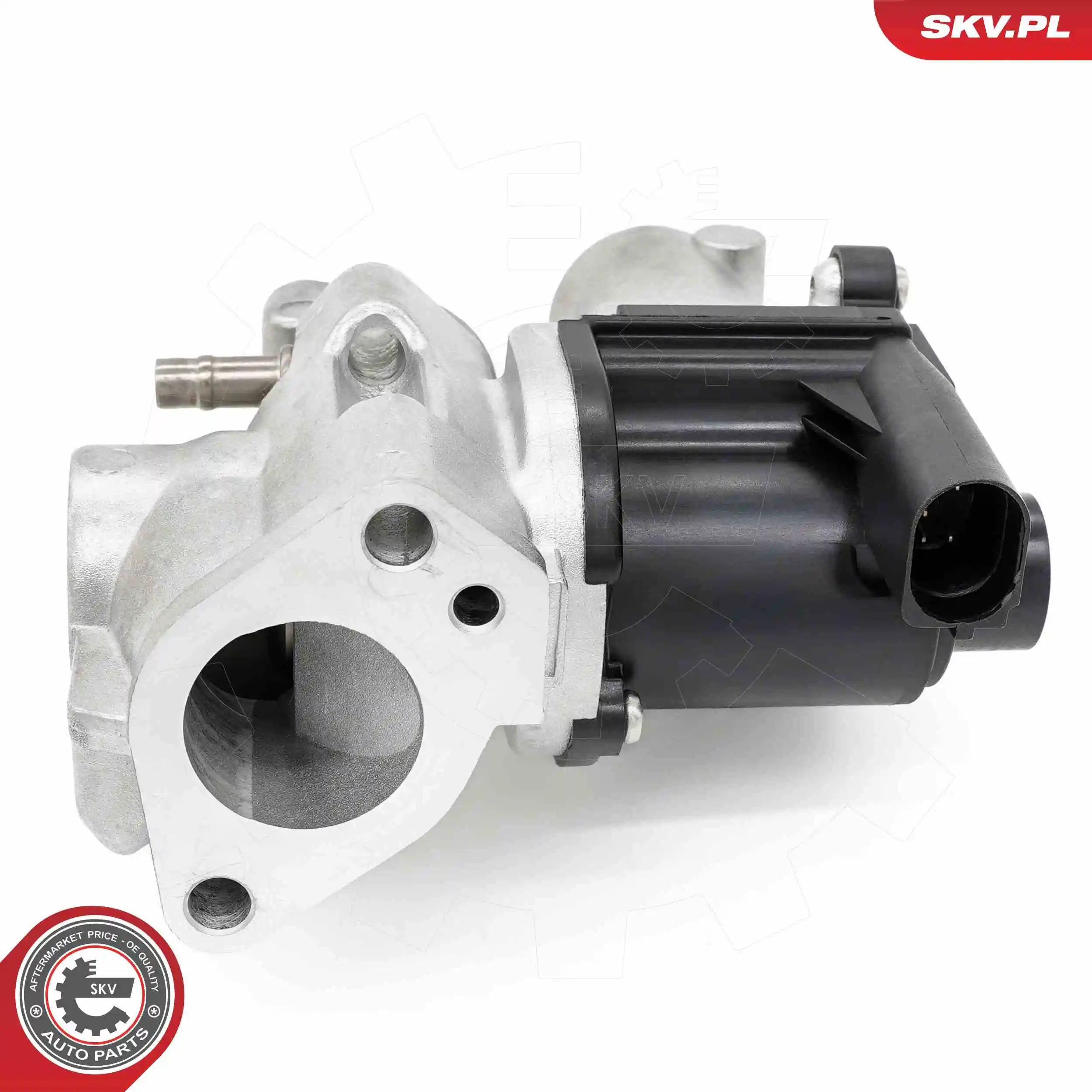 EGR Valve 14SKV253