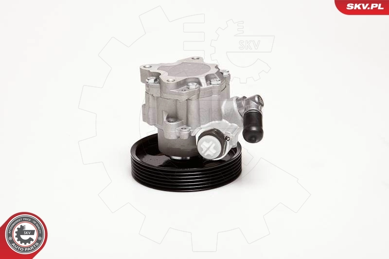 ESEN SKV 10SKV098 Hydraulic Pump, steering