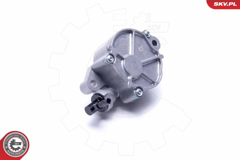 Vacuum Pump, braking system 18SKV047