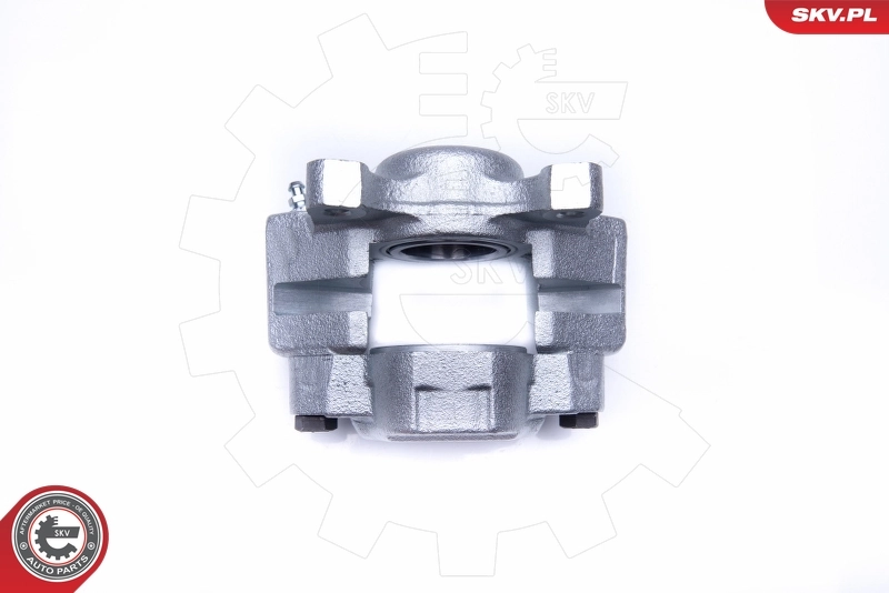 Brake Caliper 45SKV281