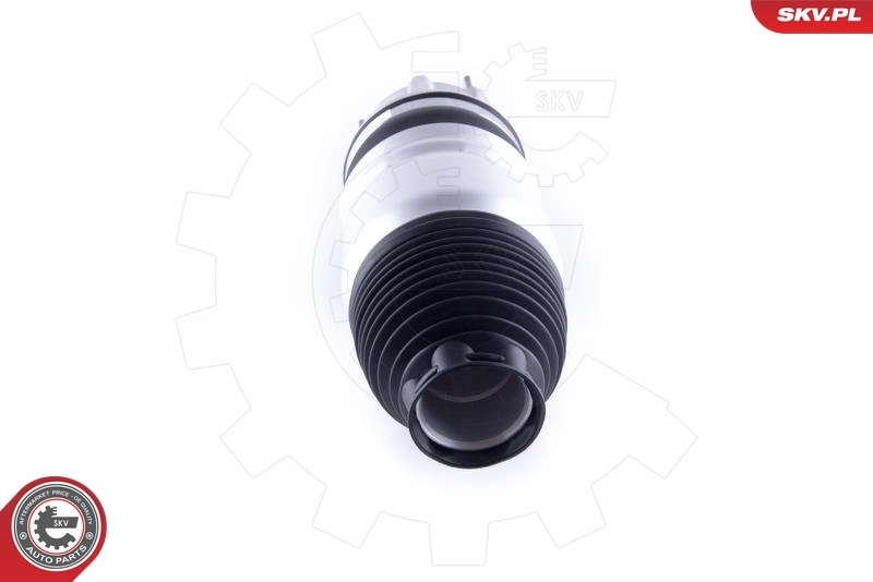 Air Spring, suspension 58SKV048