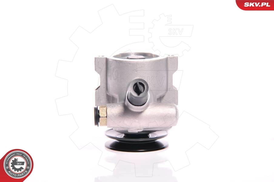 Hydraulic Pump, steering 10SKV118