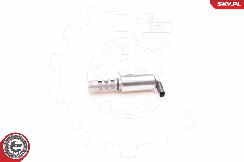 Control Valve, camshaft adjustment 39SKV011