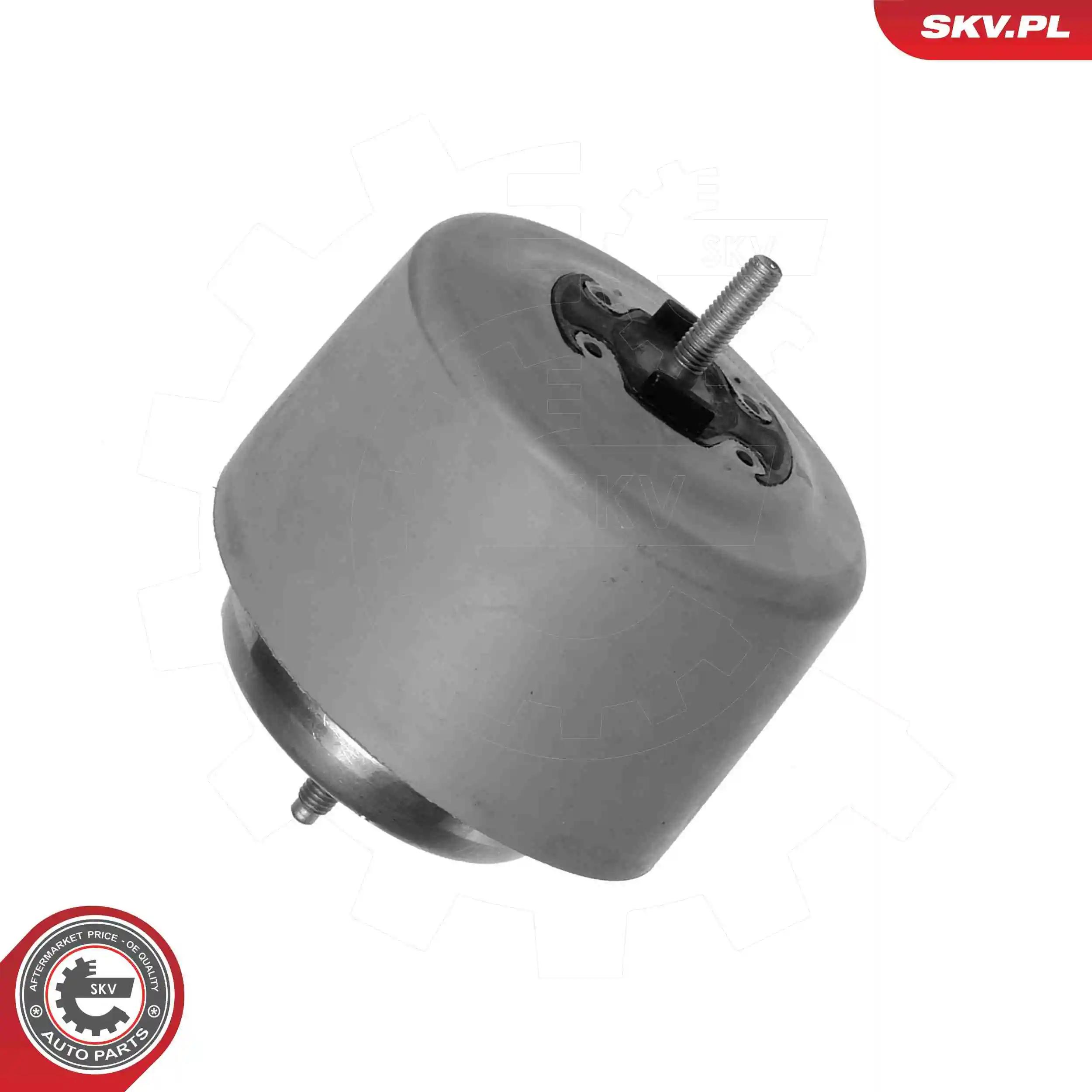 Mounting, engine 75SKV044