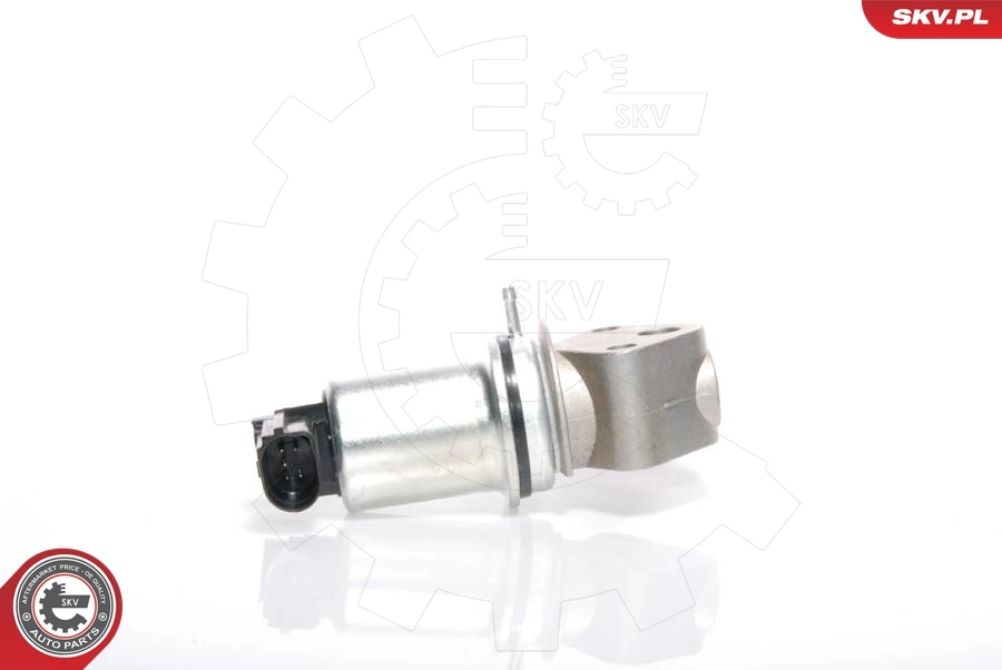 EGR Valve 14SKV016