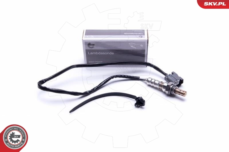 Oxygen Sensor 09SKV123