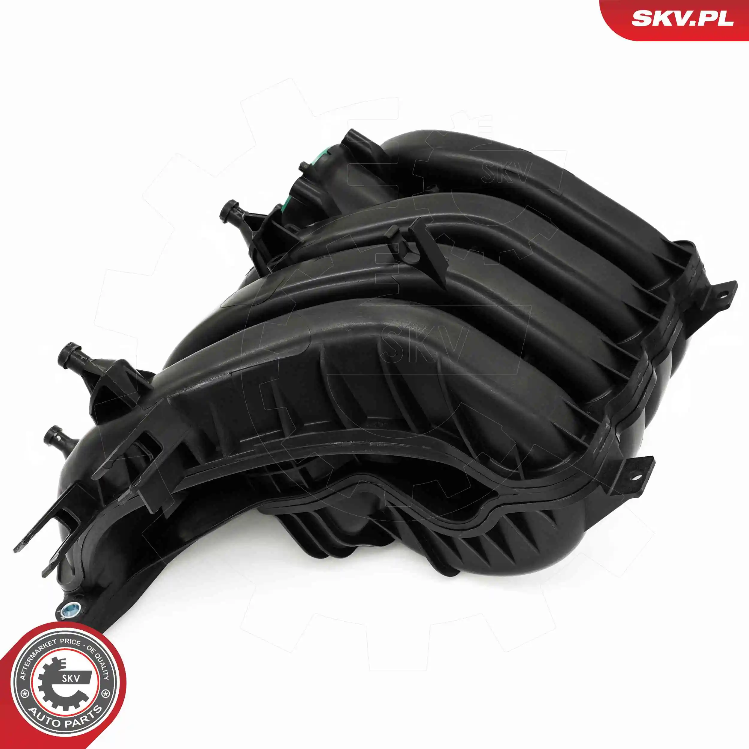 Intake Manifold Module 49SKV087