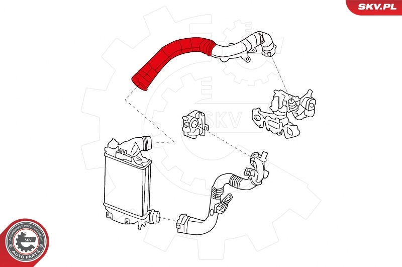Charge Air Hose 24SKV959