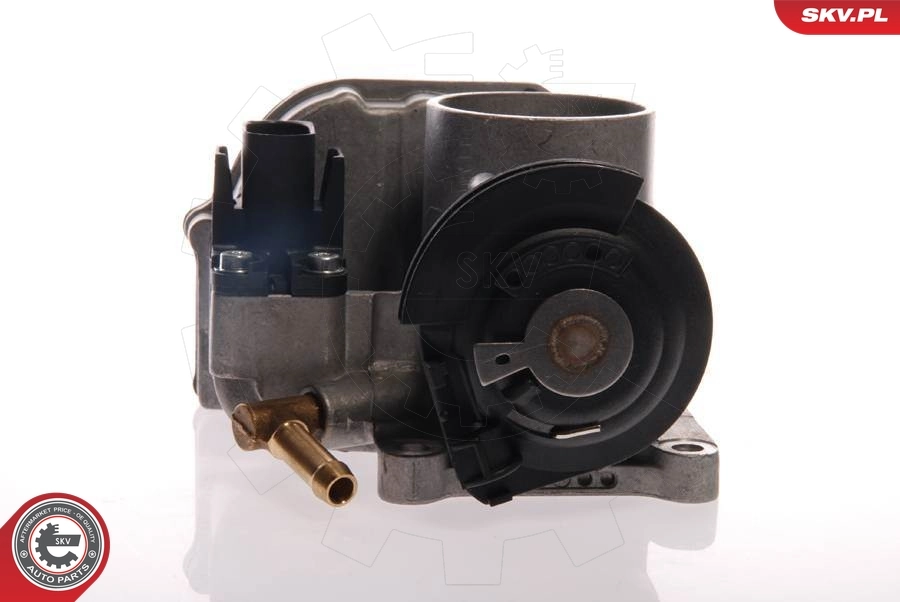 ESEN SKV 12SKV014 Throttle Body