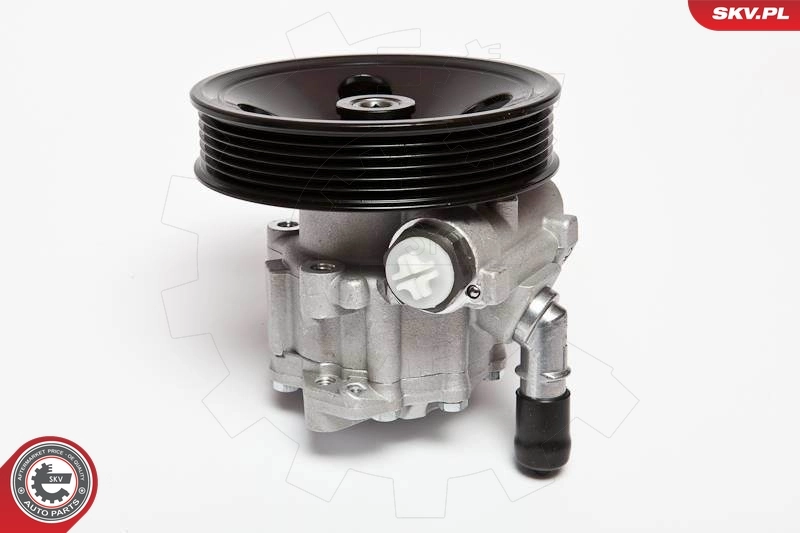 Hydraulic Pump, steering 10SKV063