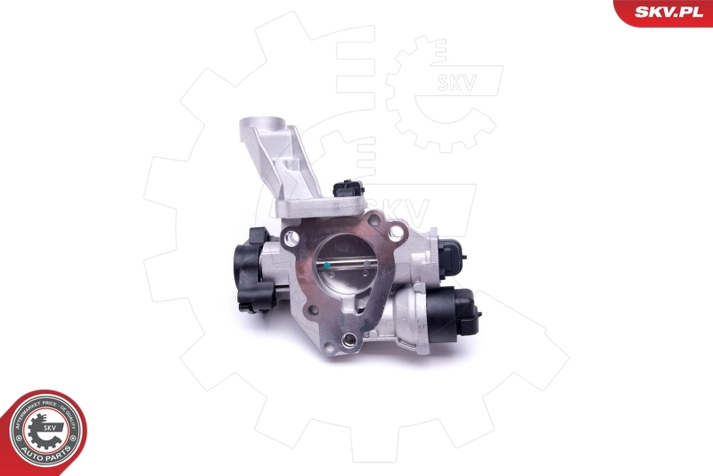 Throttle Body 12SKV082