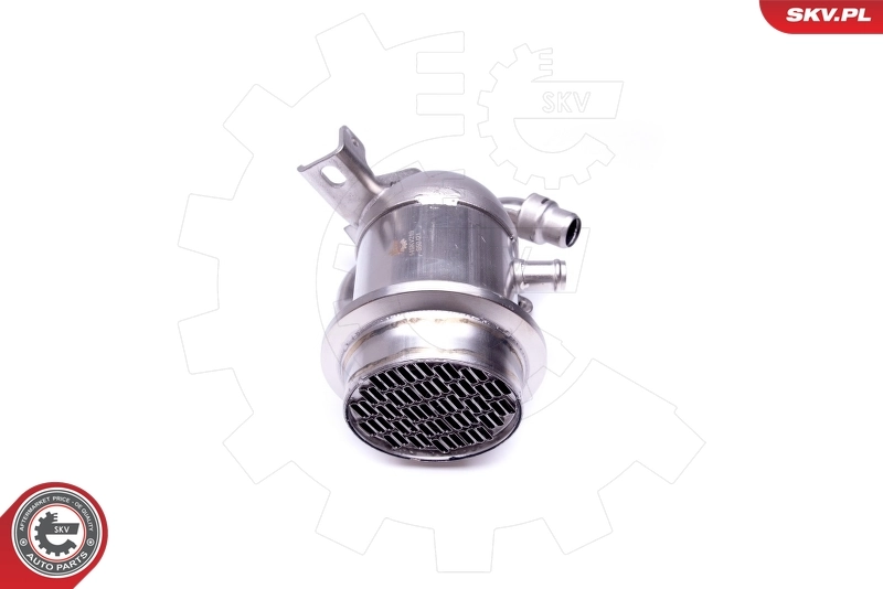 Cooler, exhaust gas recirculation 14SKV219