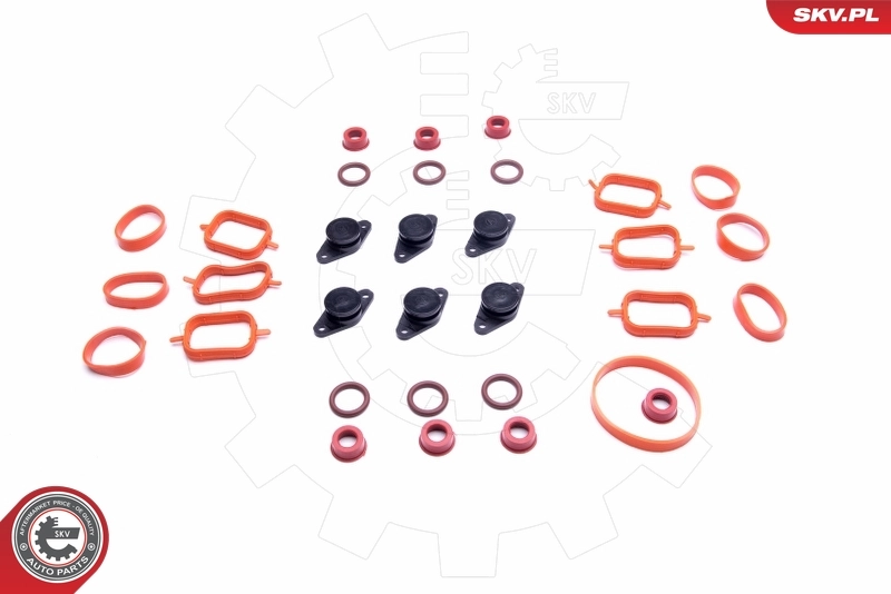 ESEN SKV 49SKV566 Repair Kit, intake manifold module