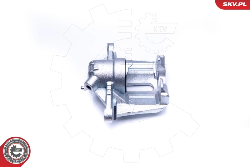 Brake Caliper 42SKV841