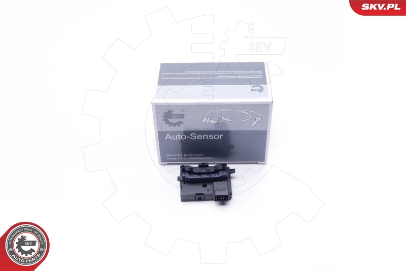 Lenkwinkelsensor 17SKV383