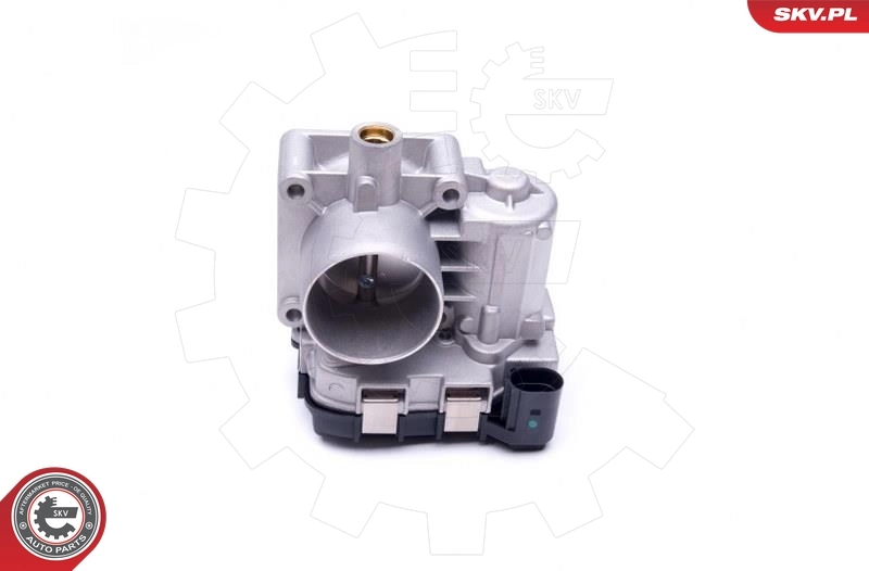 Throttle Body 12SKV077