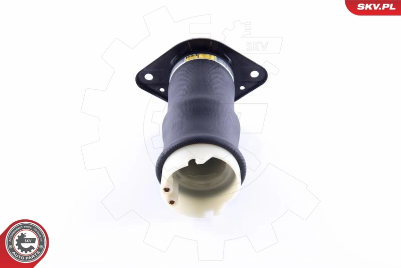 Air Spring, suspension 58SKV041
