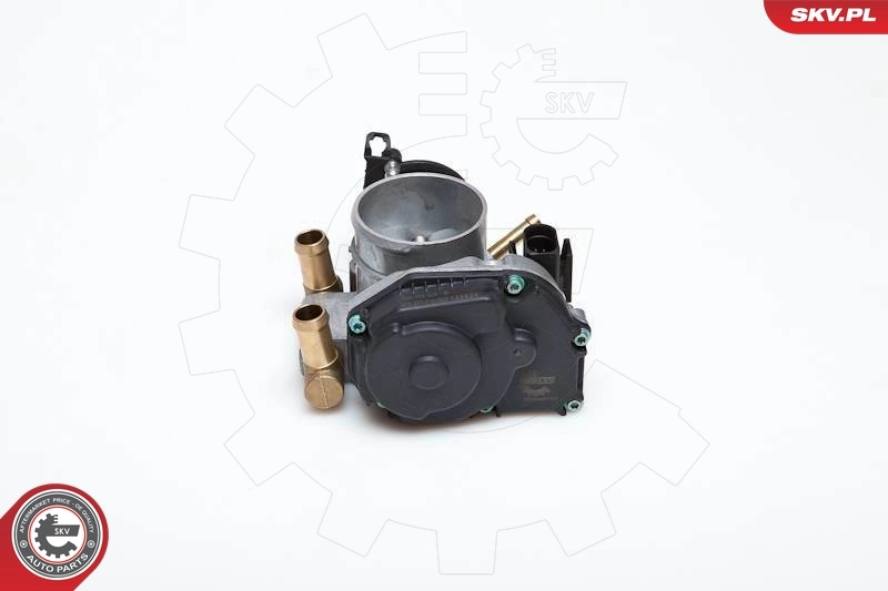 ESEN SKV 12SKV005 Throttle Body