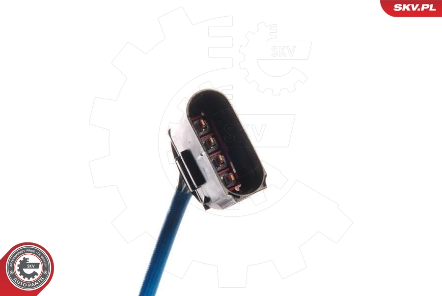 Oxygen Sensor 09SKV029