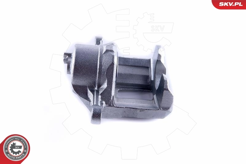 Brake Caliper 50SKV782