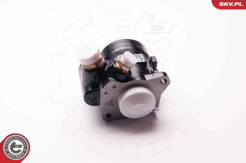 ESEN SKV 1SKV0001 Hydraulic Pump, steering