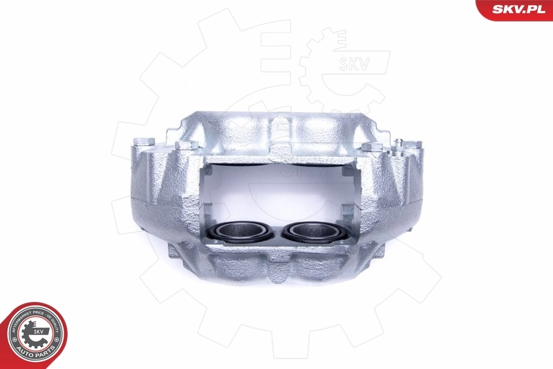 Brake Caliper 45SKV232