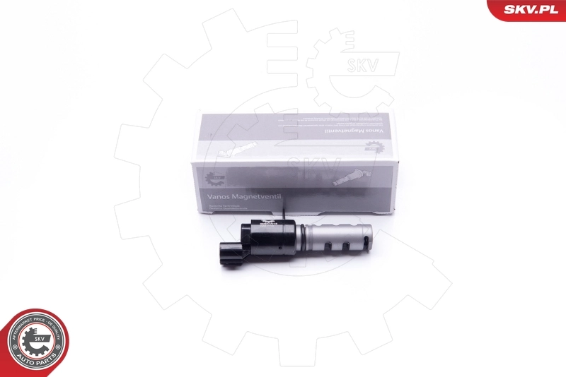 Control Valve, camshaft adjustment 39SKV018