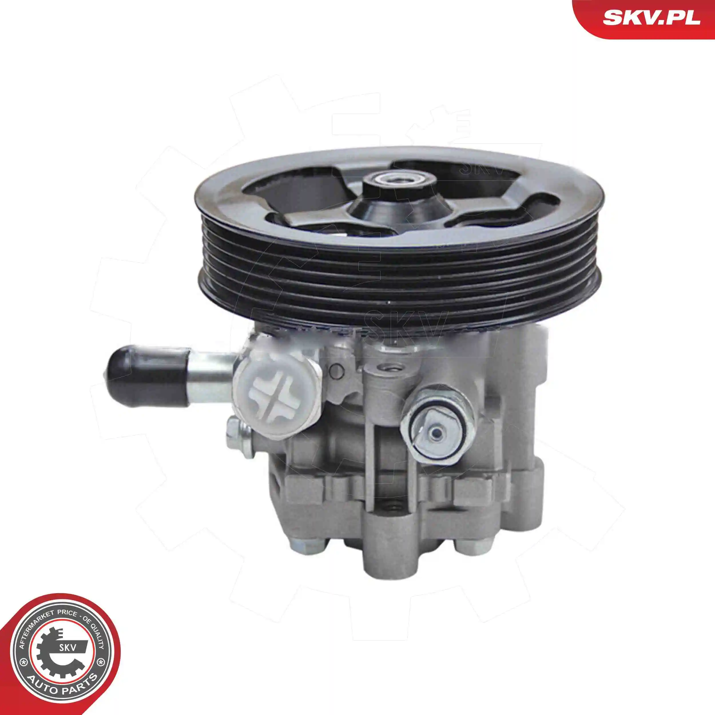 Hydraulic Pump, steering 10SKV343