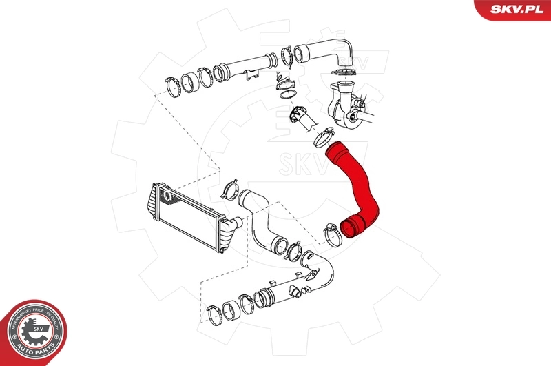 Charge Air Hose 24SKV063