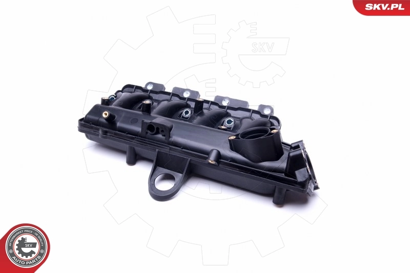 Intake Manifold Module 49SKV038