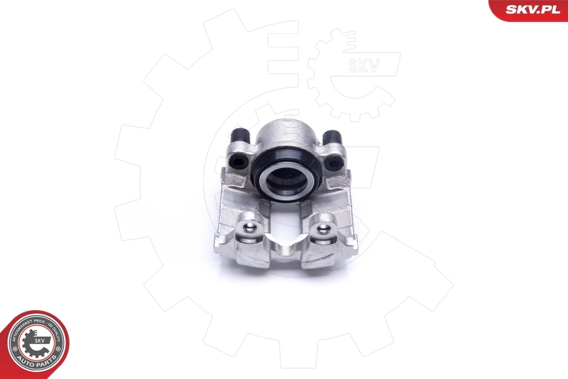 Brake Caliper 42SKV321
