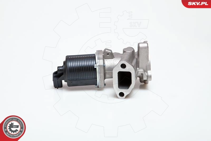 EGR Valve 14SKV014
