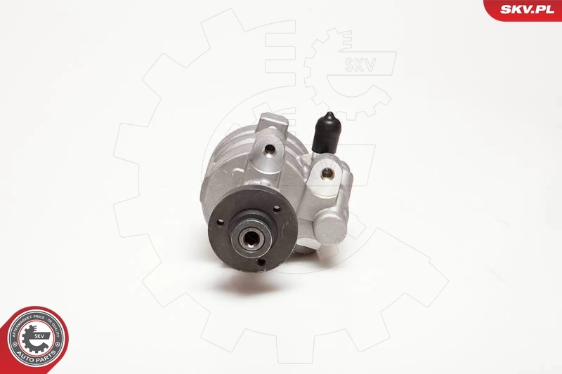 Hydraulic Pump, steering 10SKV054