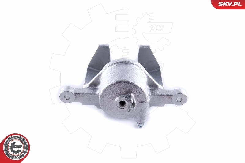 Brake Caliper 55SKV111
