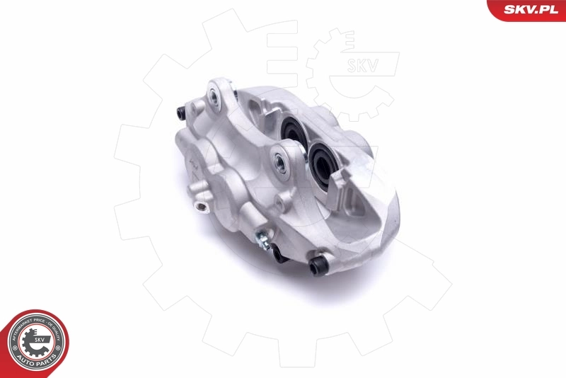 Brake Caliper 55SKV902