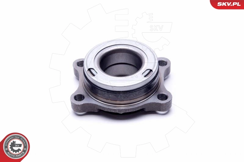 ESEN SKV 29SKV489 Wheel Bearing Kit