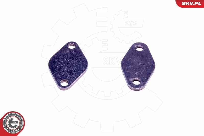 ESEN SKV 14SKV529 Repair Set, EGR valve