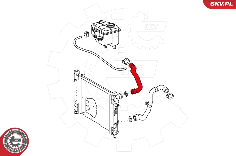 Radiator Hose 24SKV298