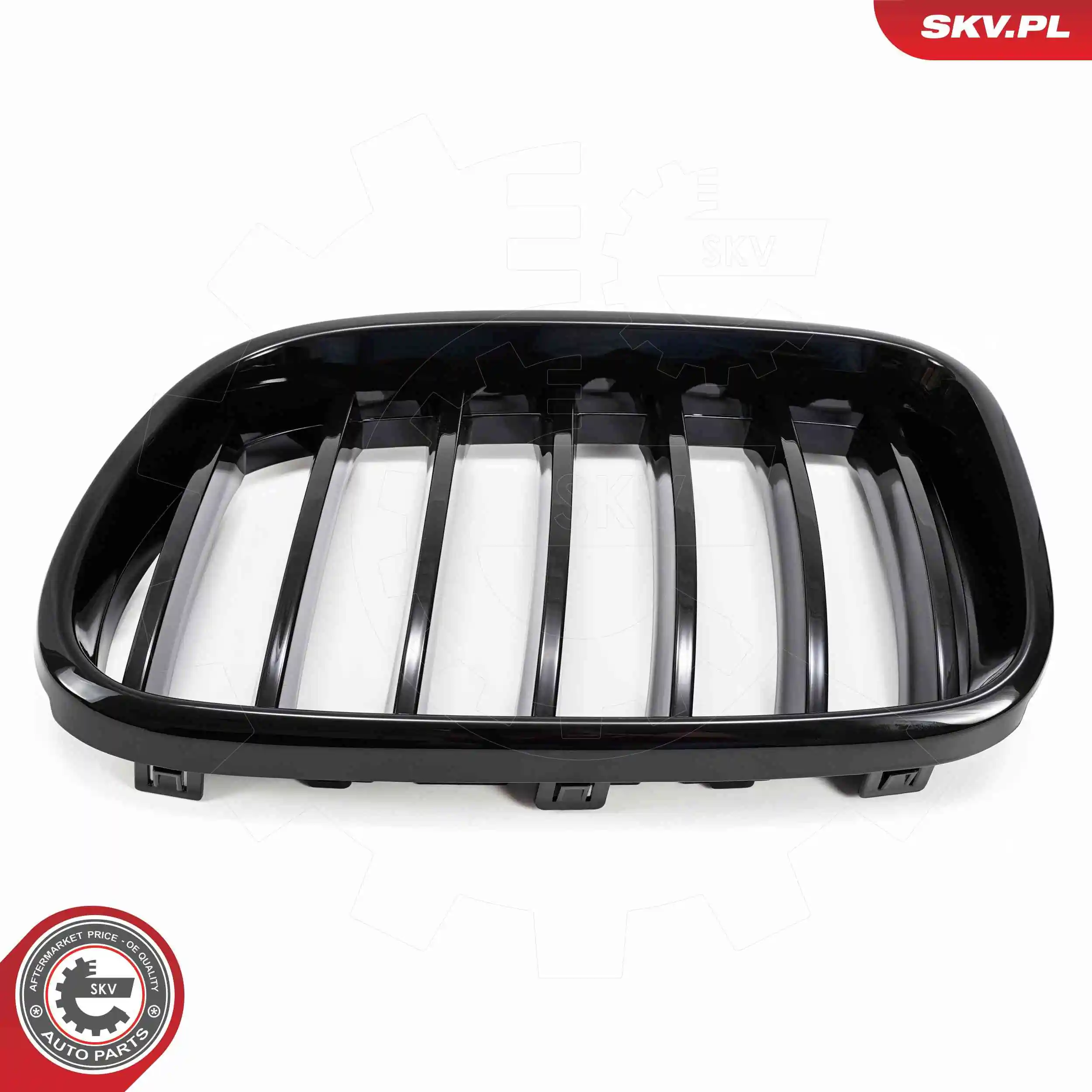 ESEN SKV 66SKV248 Radiator Grille