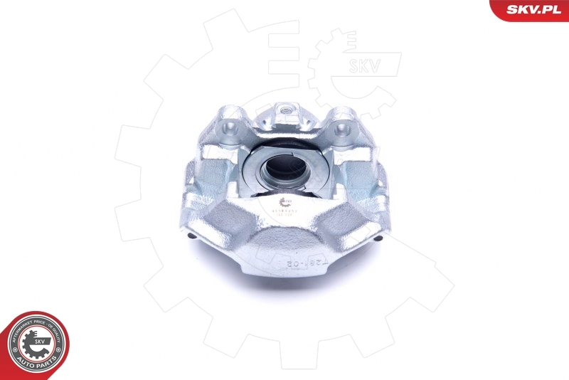 ESEN SKV 45SKV252 Brake Caliper