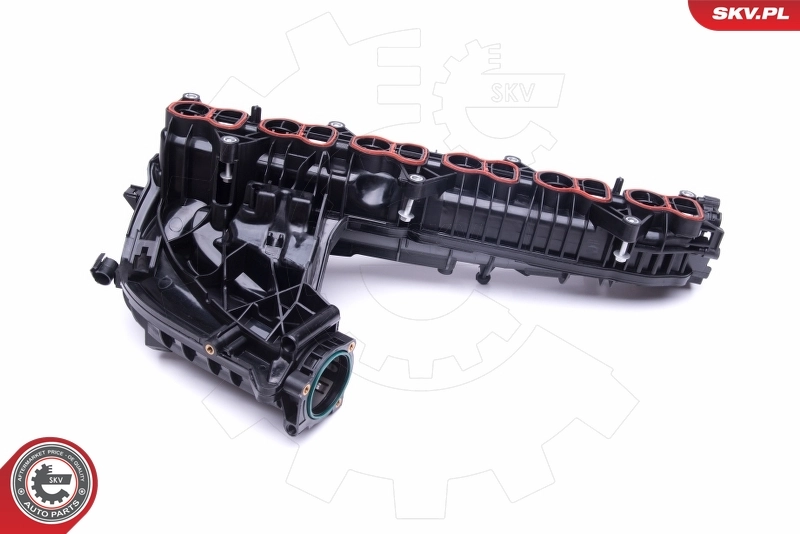 Intake Manifold Module 49SKV019