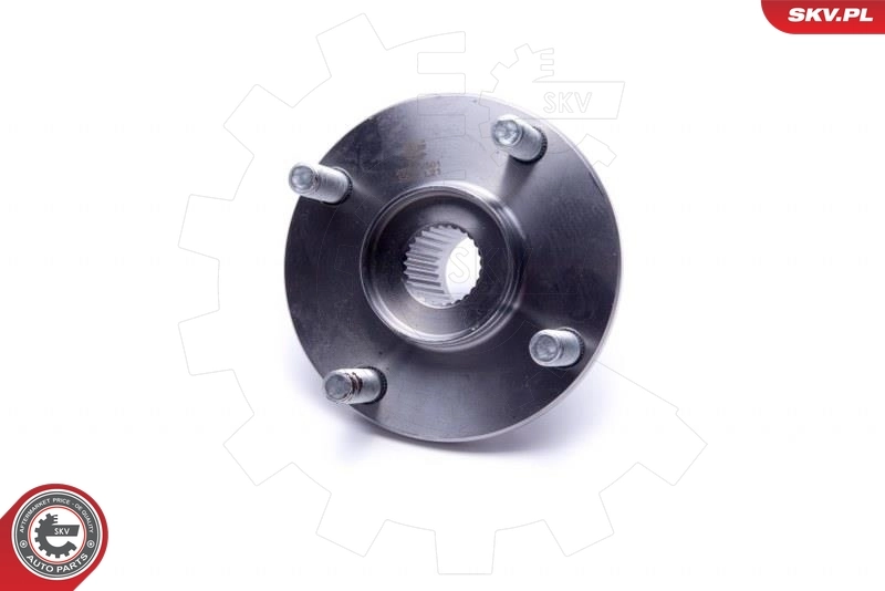 ESEN SKV 29SKV501 Wheel Bearing Kit