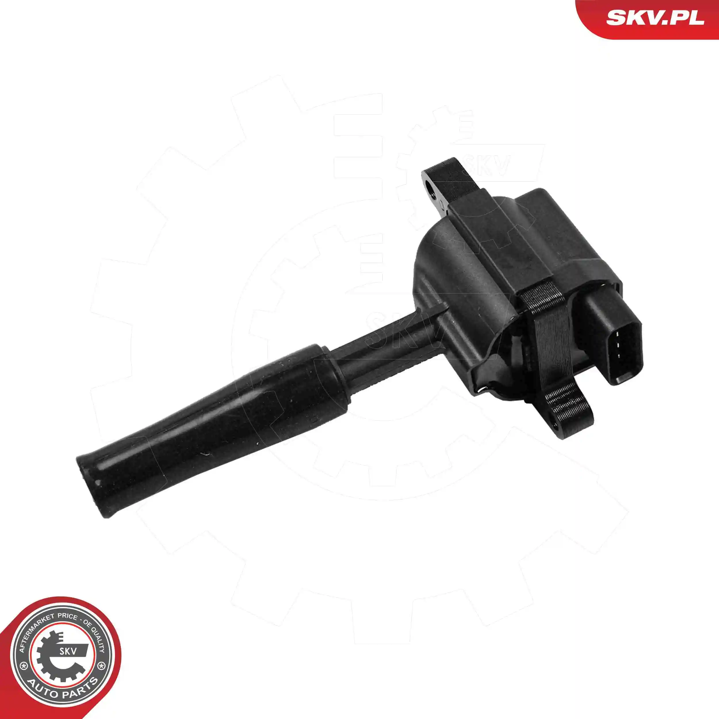 Ignition Coil 03SKV361